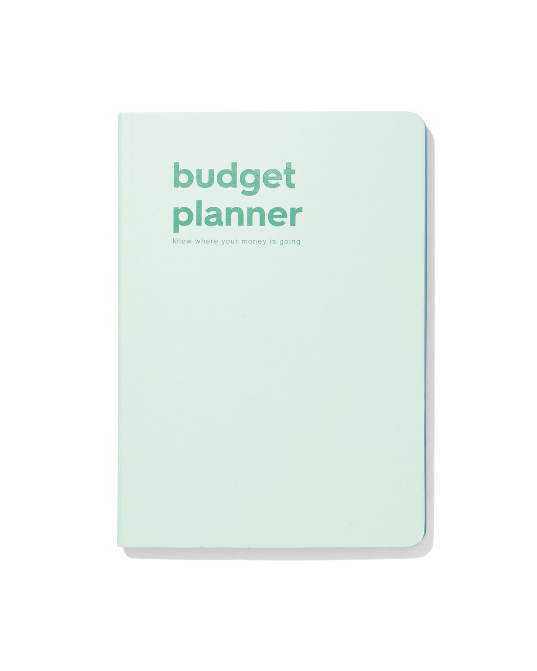 HEMA Budgetplanner Voor 12 Maanden 21x15