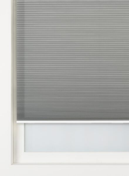 plissé dubbel lichtdoorlatend / gekleurde achterzijde 25 mm grijs grijs - 1000016431 - HEMA