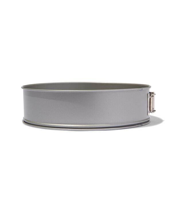 springvorm Ø24cm - 80830005 - HEMA