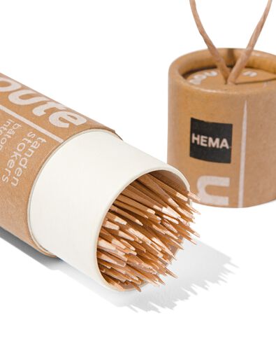 houten tandenstokers extra dun in kokers - 120 stuks - 11133400 - HEMA