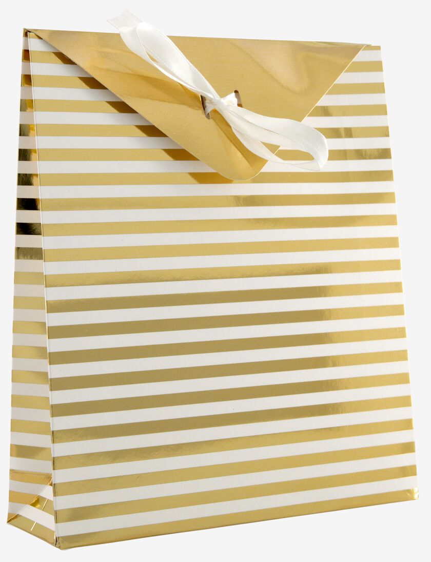 envelop cadeautasjes karton 20.5x18x5 strepen - 2 stuks - 14700594 - HEMA