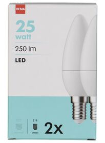 LED lamp 25W - 250 lumen - niet dimbaar - 2 stuks - 20090037 - HEMA