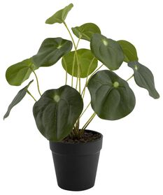 kunstplant pannenkoekenplant - 13022142 - HEMA