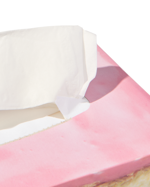 tissues ultra soft - 100 stuks - 11510102 - HEMA