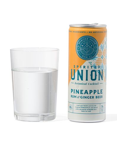 Spirited Union pineapple rum & ginger 250ml - 17440008 - HEMA