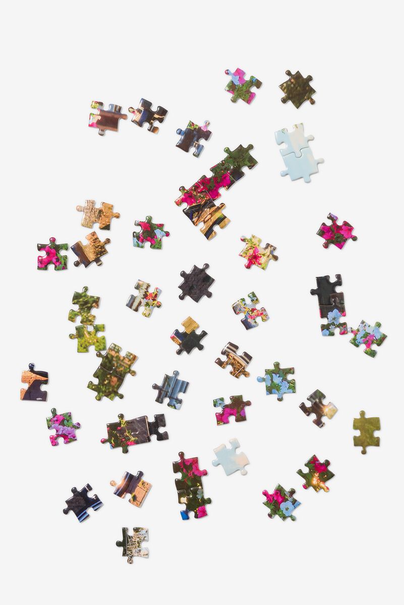 invoeren Afwezigheid Stuiteren puzzel gracht 1000 stukjes - HEMA