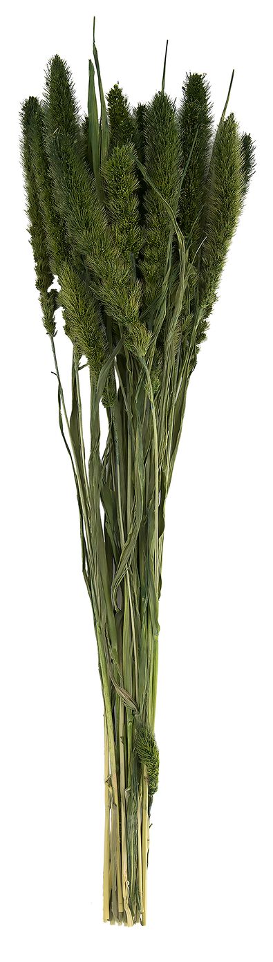 droogbloemen boeket 60 cm - 13022137 - HEMA