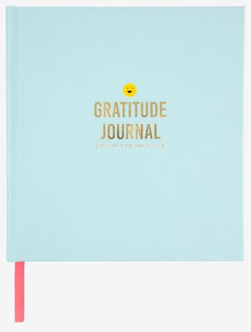 Herinnering verdrievoudigen Transistor gratitude dagboek 18x17 - HEMA