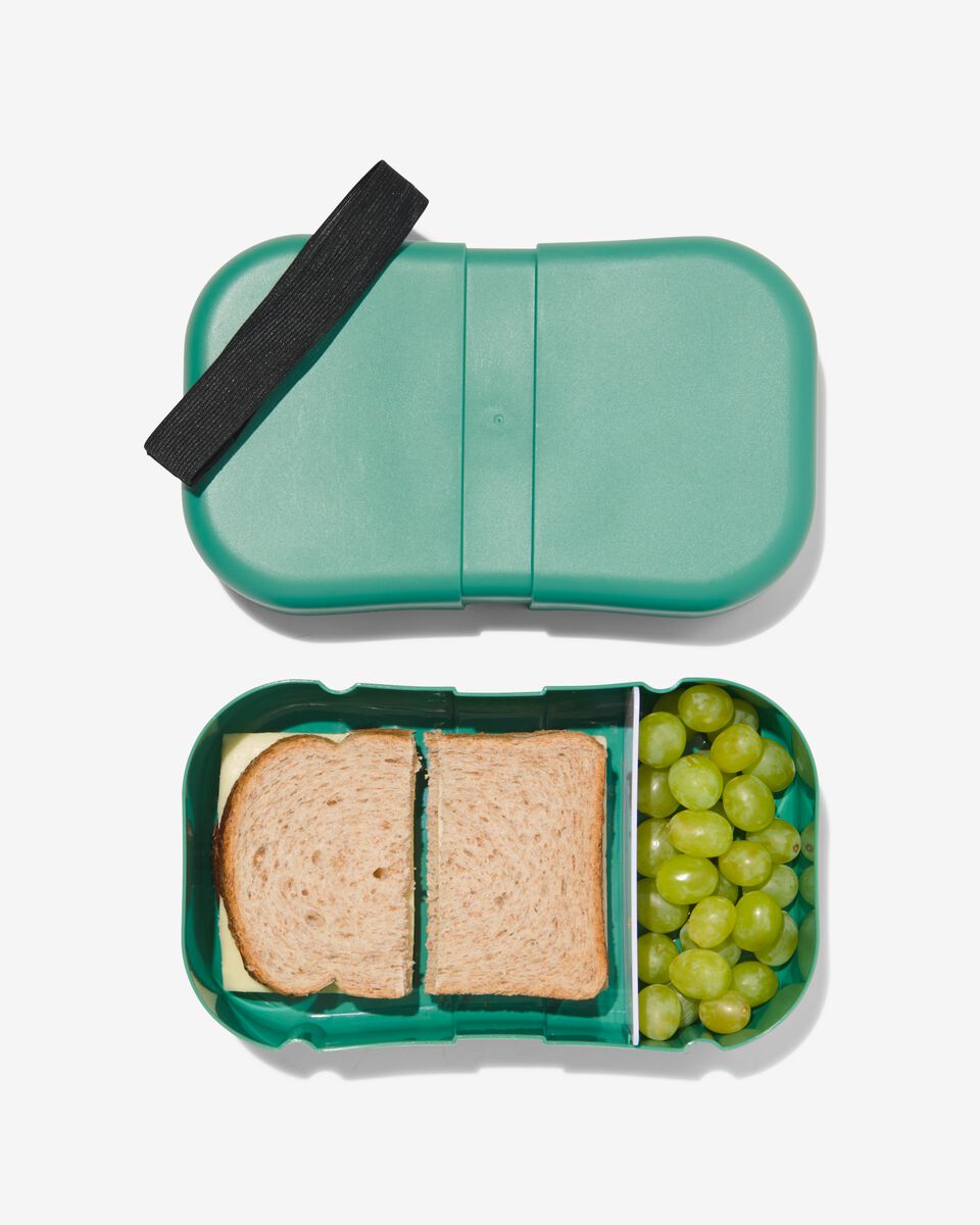 toespraak Overlappen Geslaagd lunchbox met elastiek XL groen - HEMA