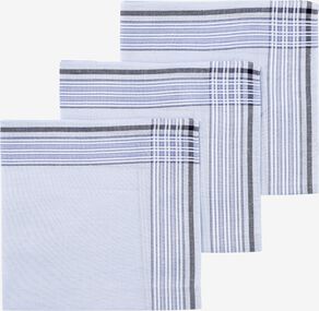 Ru tweede melk wit zakdoeken blauw 40x40 - 3 stuks - HEMA
