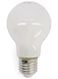 LED lamp 40W - 470 lm - peer - mat - 20020011 - HEMA