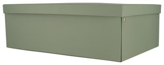 Opbergdoos Karton A3 Groen (groen)