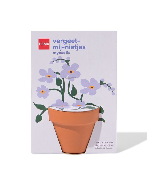 potje met zaden - vergeet-me-nietjes - 41840199 - HEMA