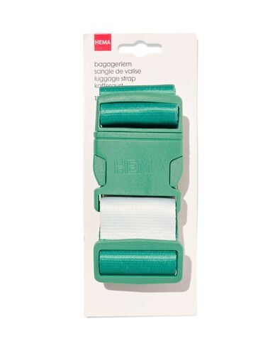 bagageriem 180x5cm groen met strepen - 18640035 - HEMA bagageriem 180x5cm groen met strepen - 18640035 - HEMA