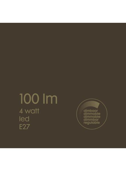LED lamp 4W - 100 lm - edison - titanium - 20020075 - HEMA