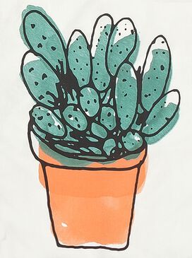 dekbedovertrek - zacht - cactus - HEMA