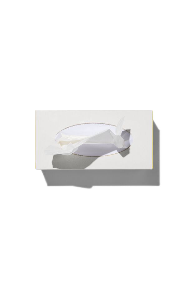 tissuebox 2-laags - 11514180 - HEMA