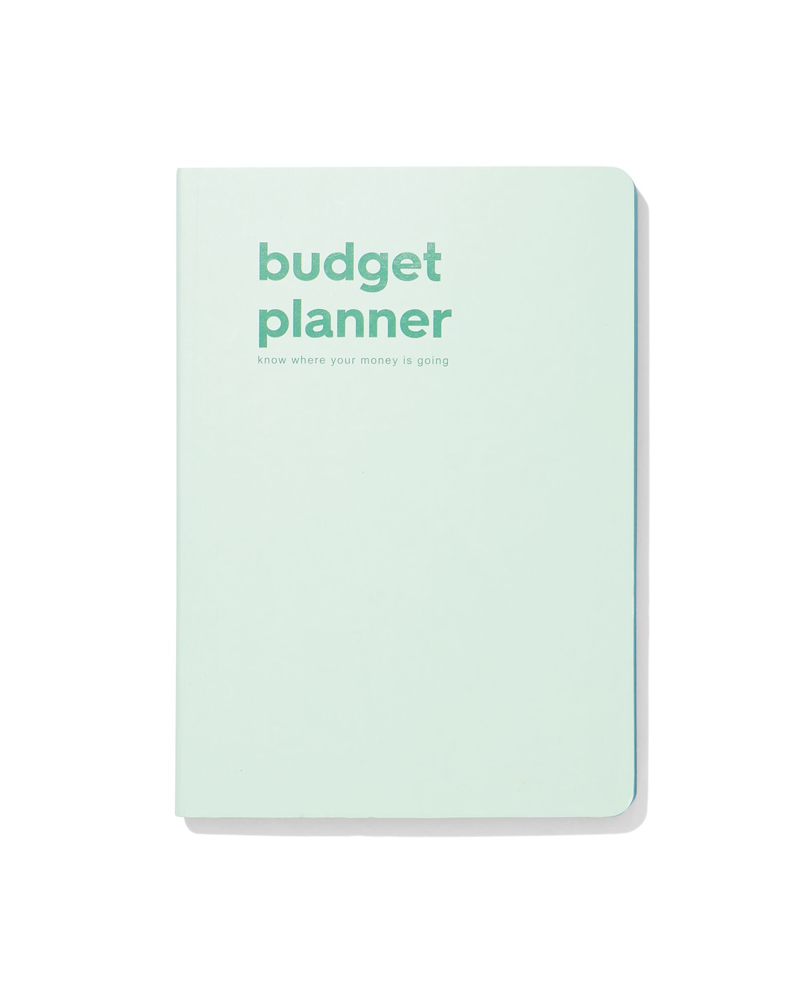 Image of HEMA Budgetplanner Voor 12 Maanden 21x15