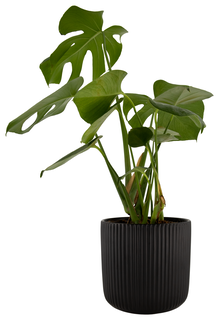 Bloempot Strepen Zwart Ø18.2x18 (zwart)