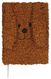 notitieboek A5 teddy hond - 14100014 - HEMA