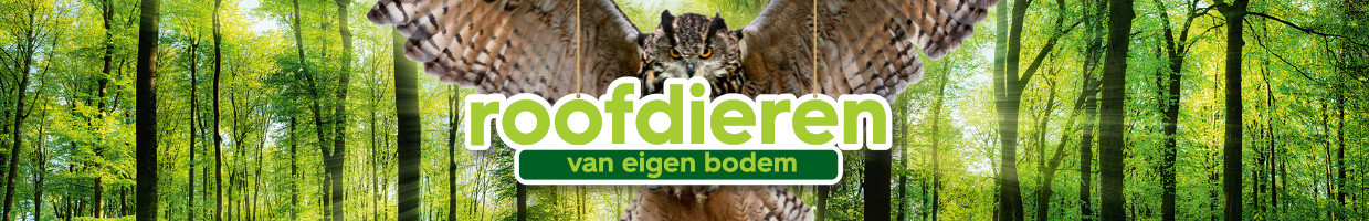 roofdieren spaaractie